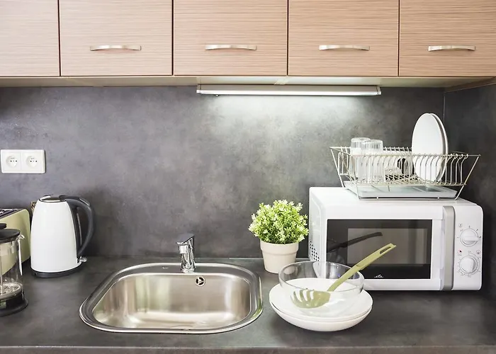 Apartman Modern Zlatnicka 8 *